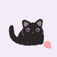 Kakao Theme - Black Cat